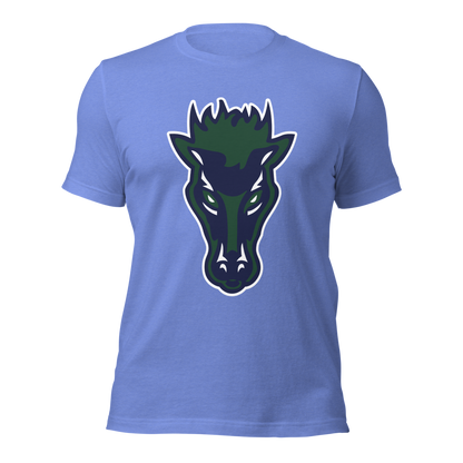 Damonte Ranch High School Design 1 — Heather Columbia Blue