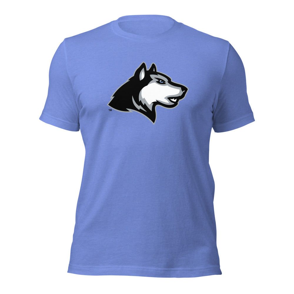 Helena High School Design 1 — Heather Columbia Blue