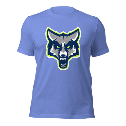 Timpanogos High School Design 1 — Heather Columbia Blue