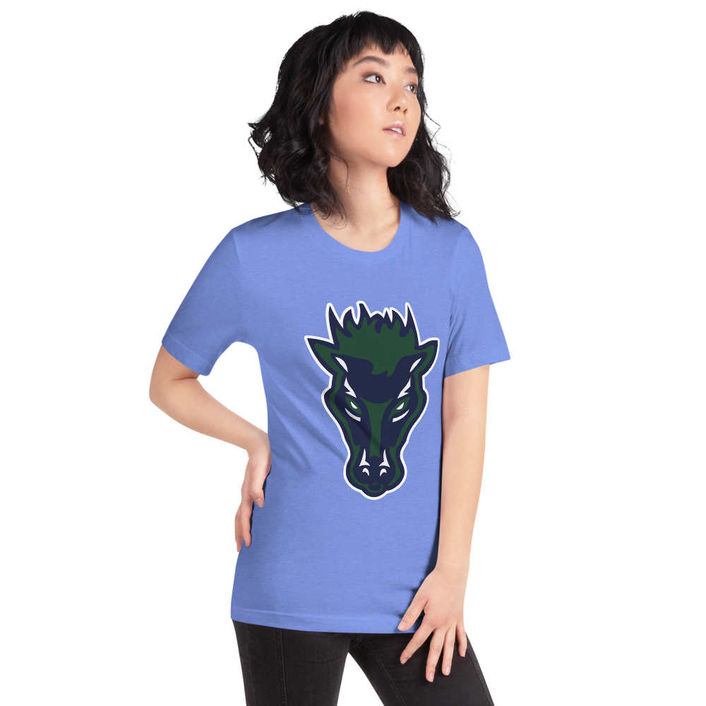 Damonte Ranch High School Design 1 — Heather Columbia Blue