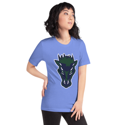 Damonte Ranch High School Design 1 — Heather Columbia Blue