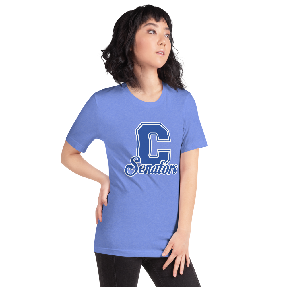 Carson High School Design 1 — Heather Columbia Blue