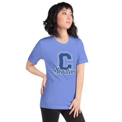 Carson High School Design 1 — Heather Columbia Blue
