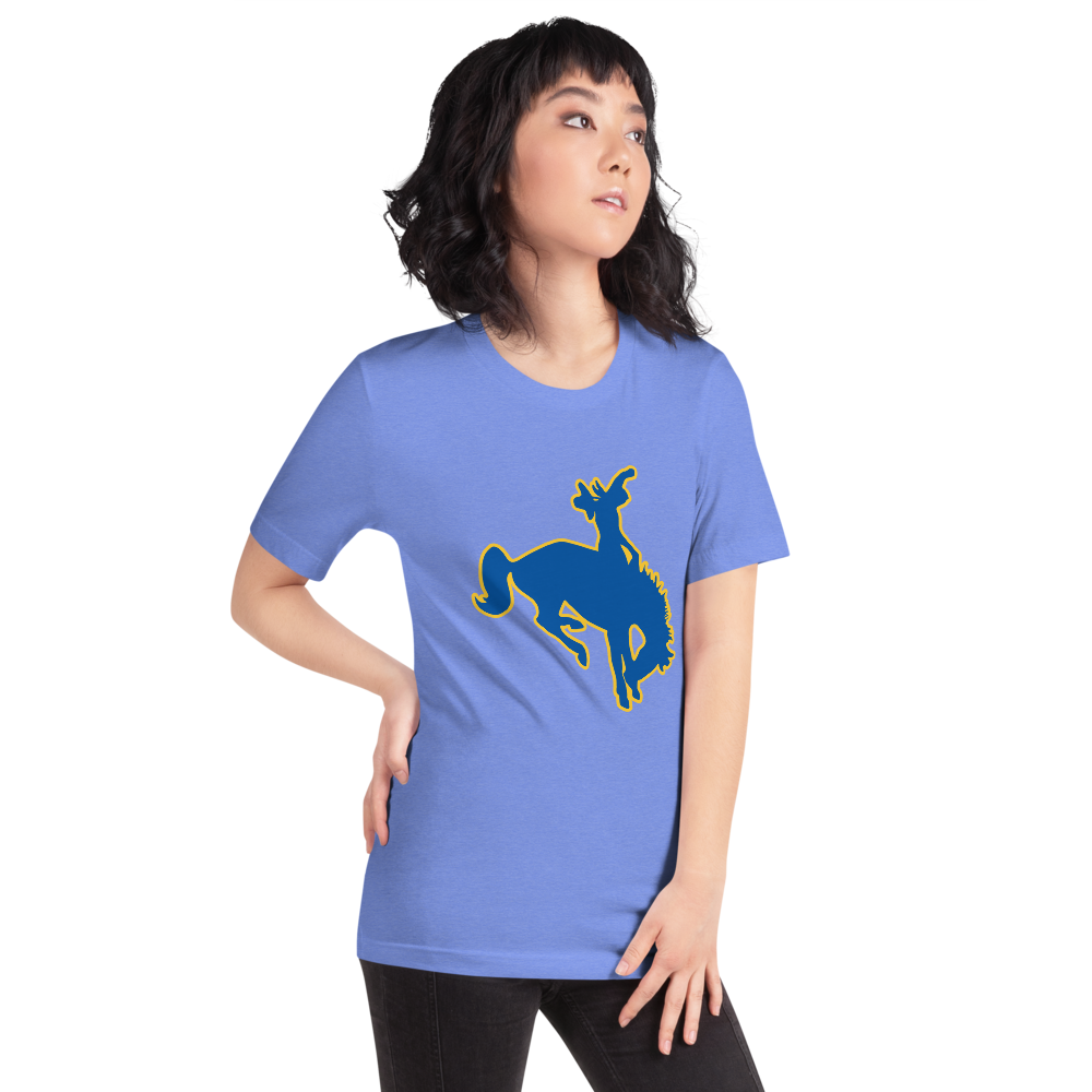 Albert M. Lowry High School Design 1 — Heather Columbia Blue