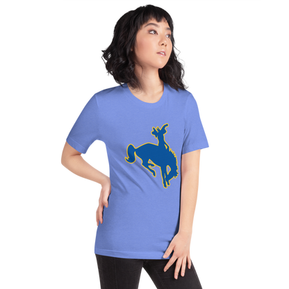 Albert M. Lowry High School Design 1 — Heather Columbia Blue