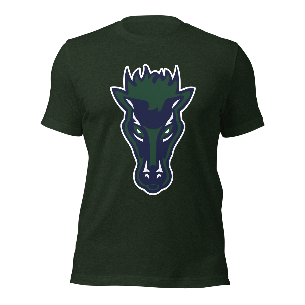 Damonte Ranch High School Design 1 — Heather Emerald