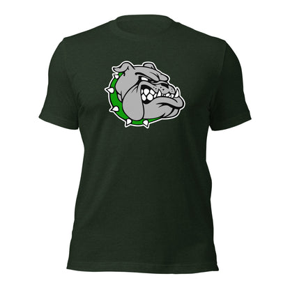 Ashville High School Design 1 — Heather Emerald