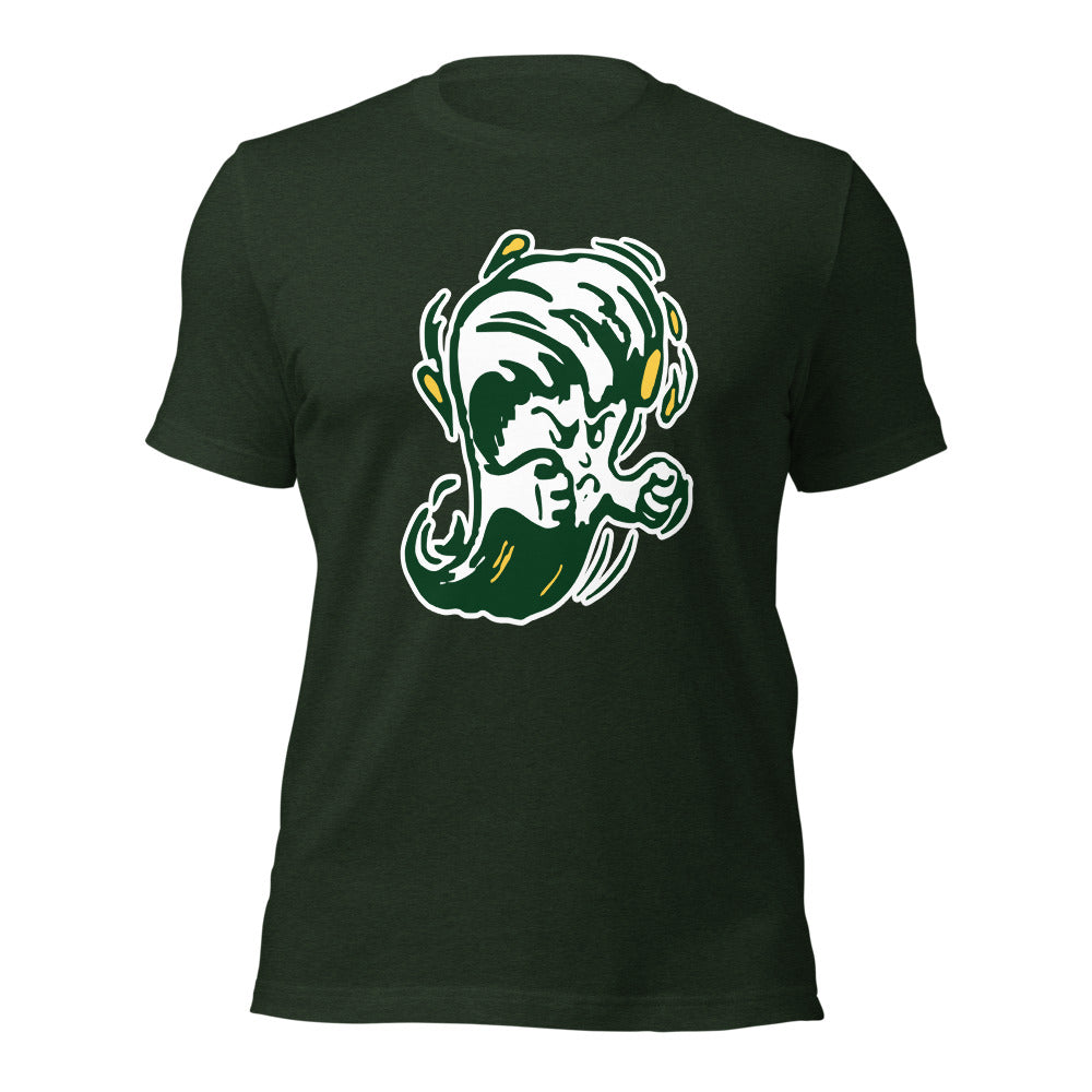 Gordo High School Design 1 — Heather Emerald