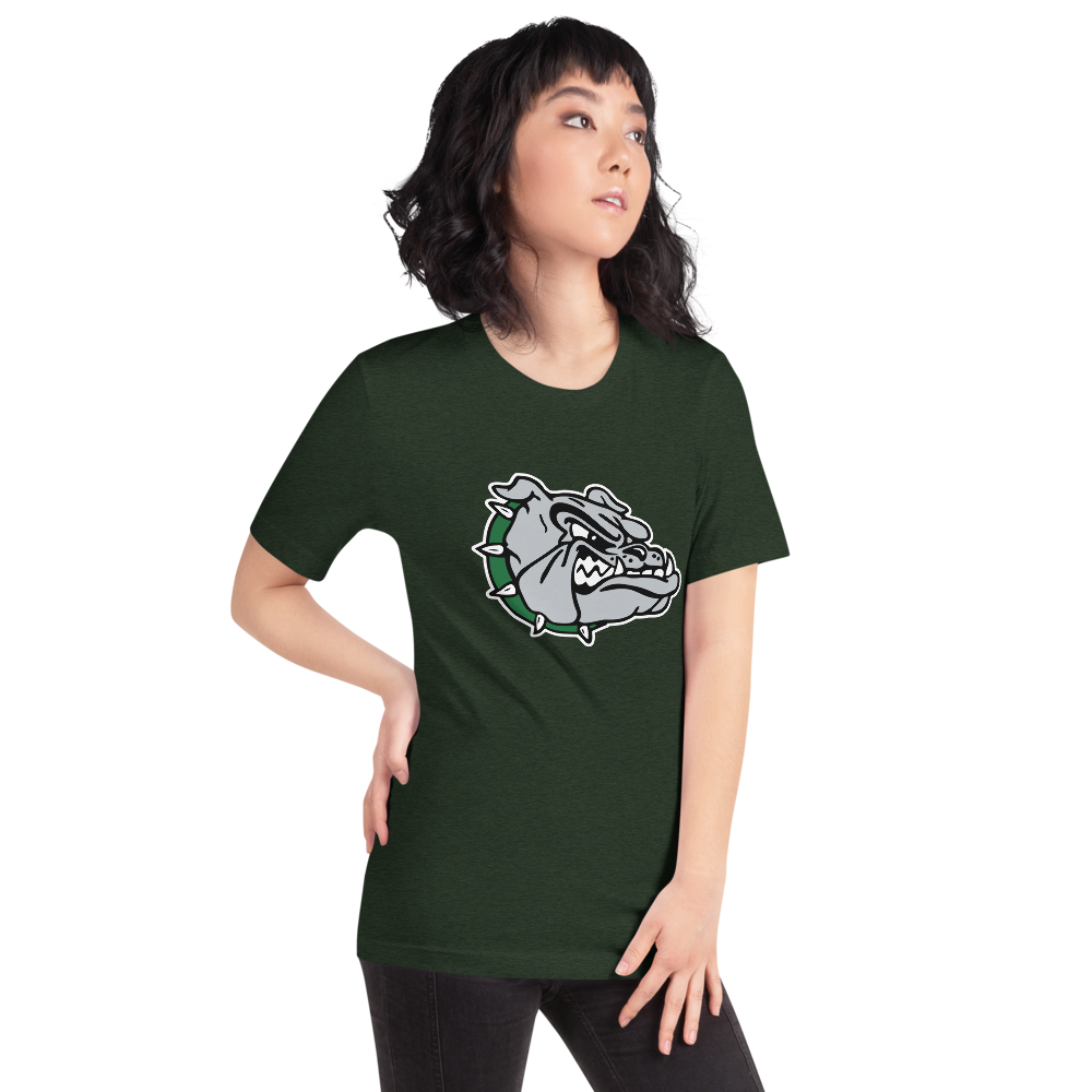 Virgin Valley High School Design 1 — Heather Emerald