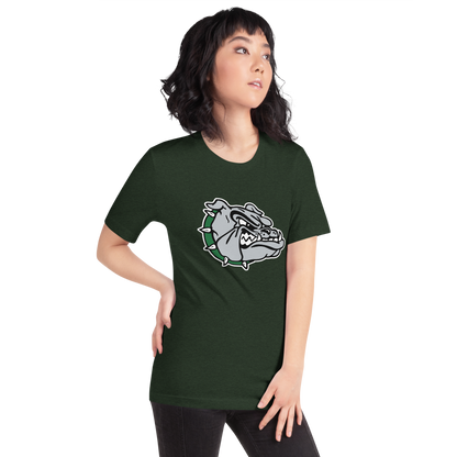 Virgin Valley High School Design 1 — Heather Emerald