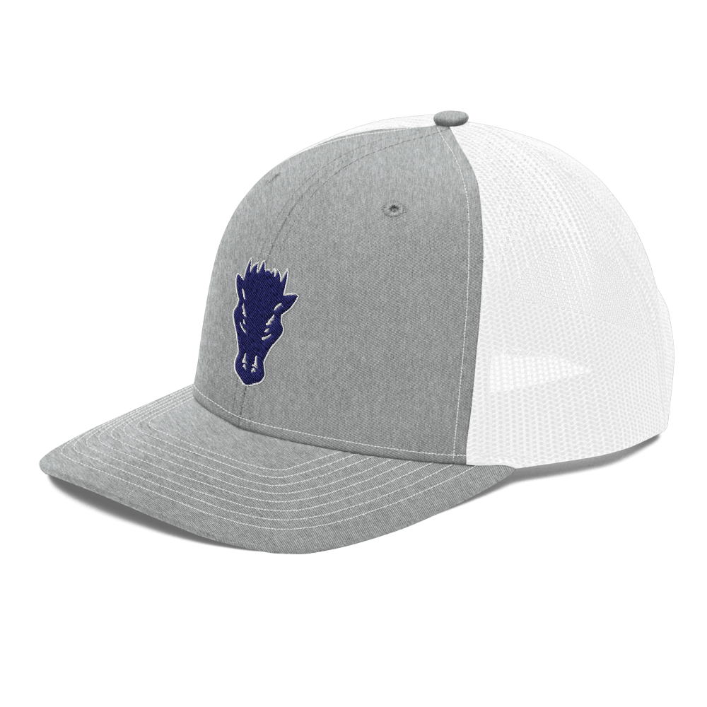 Damonte Ranch High School Design 1 — Heather Grey/White