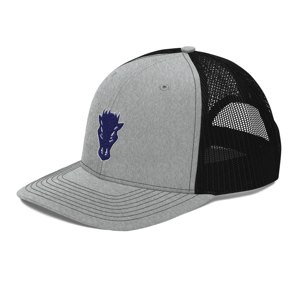 Damonte Ranch High School Design 1 — Heather Grey / Black