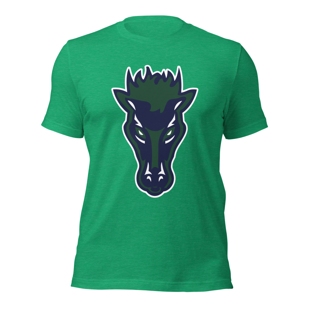 Damonte Ranch High School Design 1 — Heather Kelly