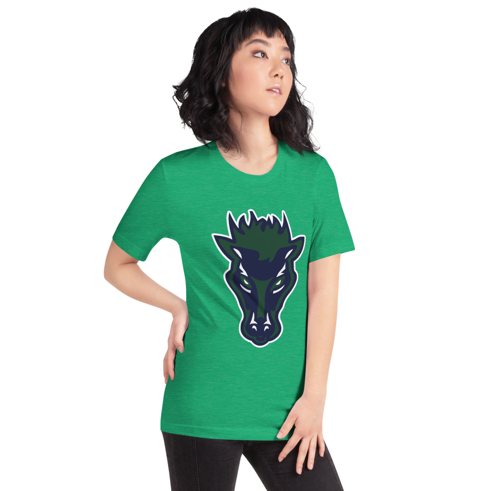 Damonte Ranch High School Design 1 — Heather Kelly