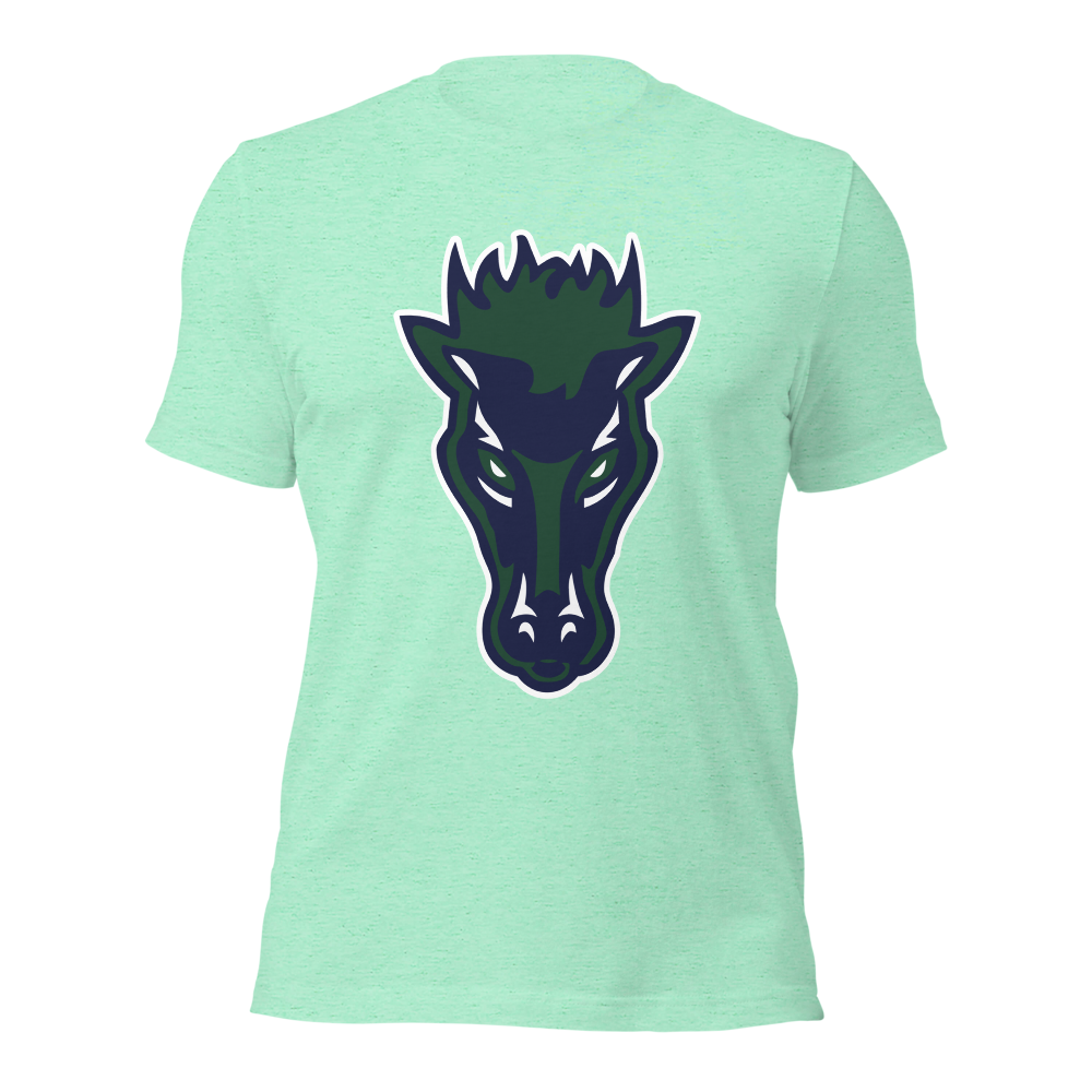 Damonte Ranch High School Design 1 — Heather Mint