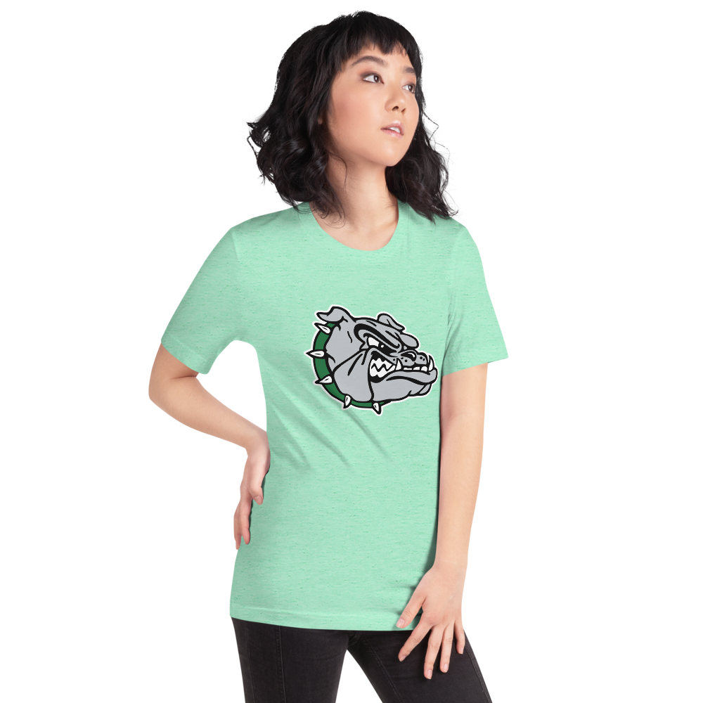 Virgin Valley High School Design 1 — Heather Mint