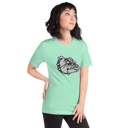 Virgin Valley High School Design 1 — Heather Mint