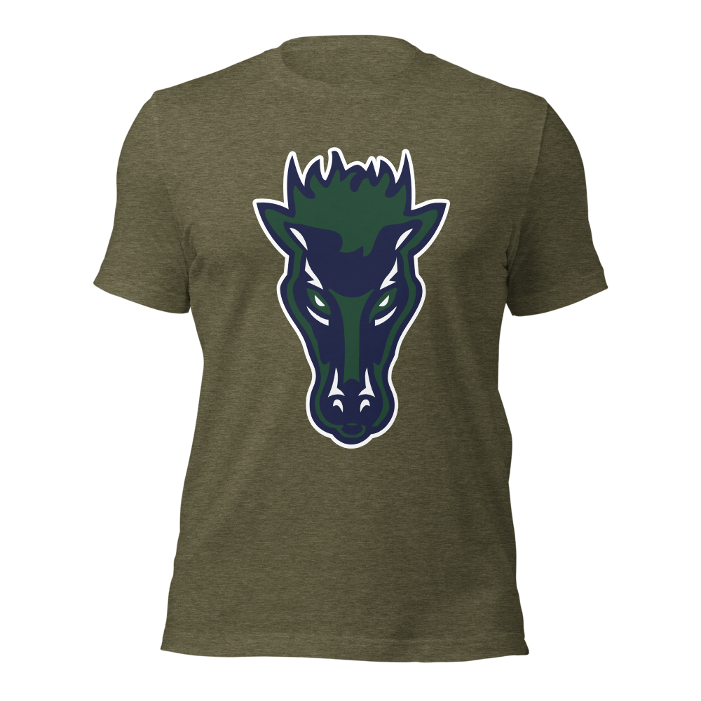 Damonte Ranch High School Design 1 — Heather Olive