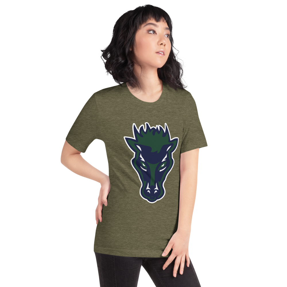 Damonte Ranch High School Design 1 — Heather Olive