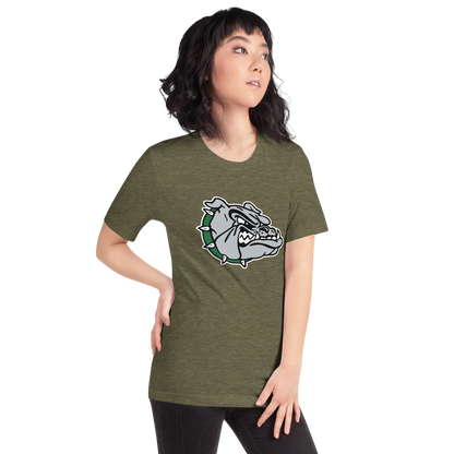 Virgin Valley High School Design 1 — Heather Olive