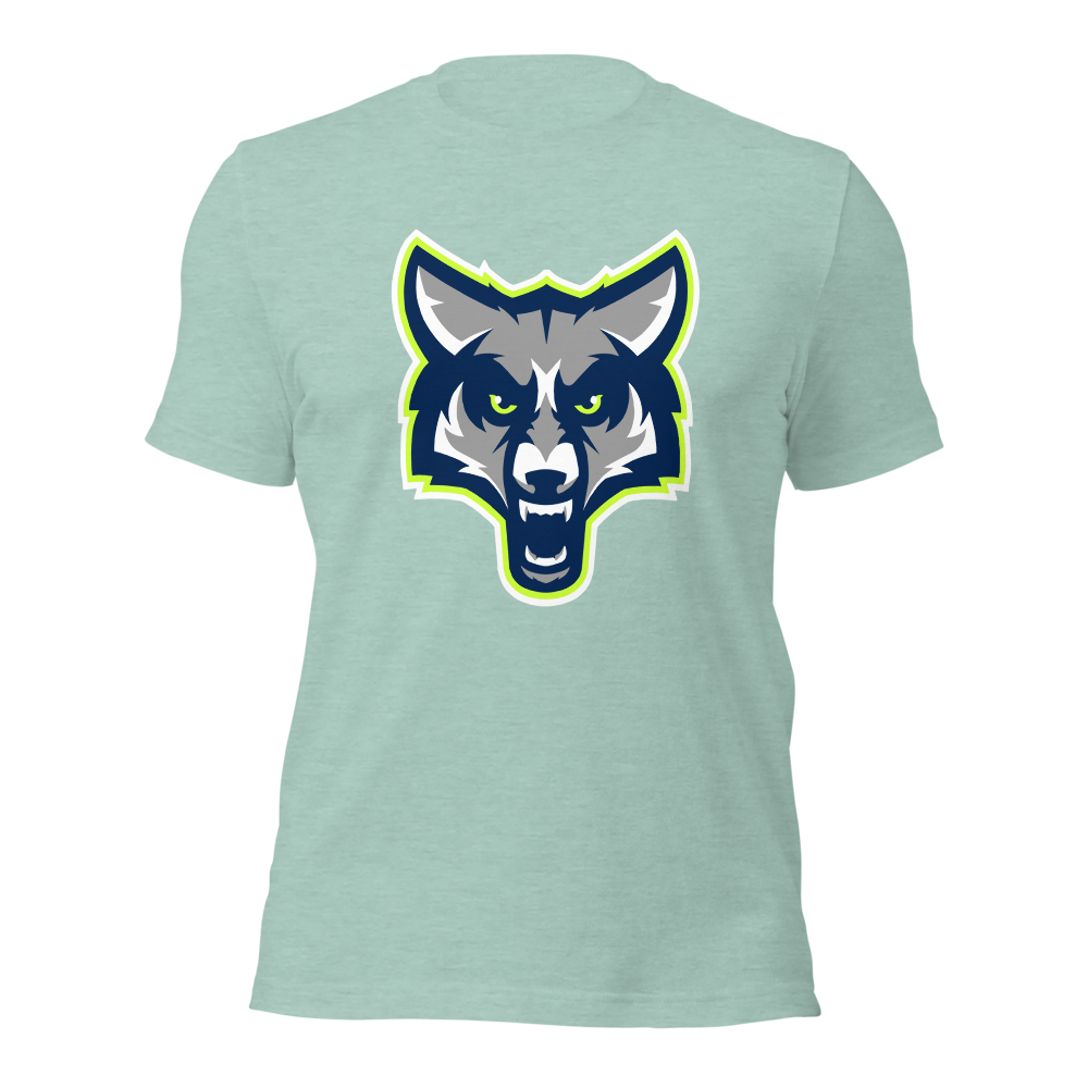 Timpanogos High School Design 1 — Heather Prism Dusty Blue