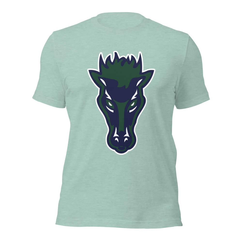 Damonte Ranch High School Design 1 — Heather Prism Dusty Blue