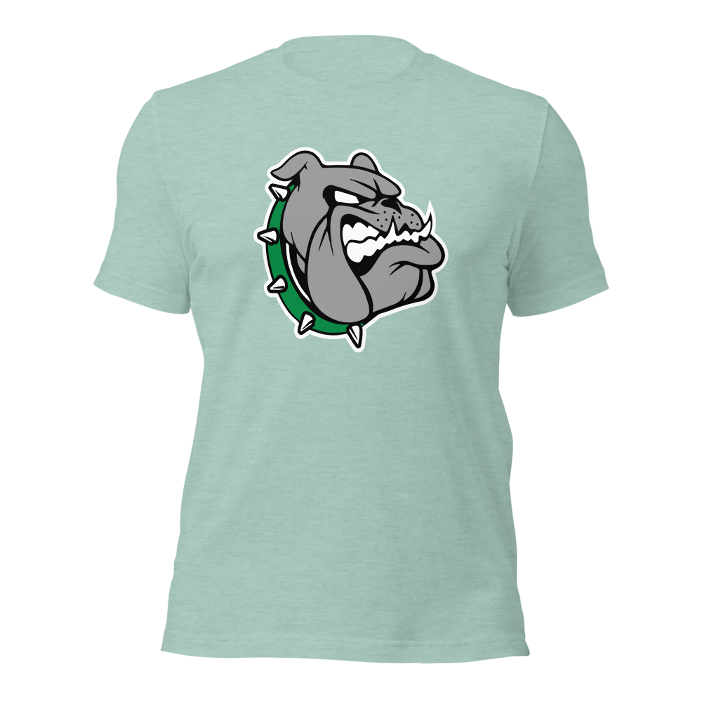 Provo High School Design 1 — Heather Prism Dusty Blue