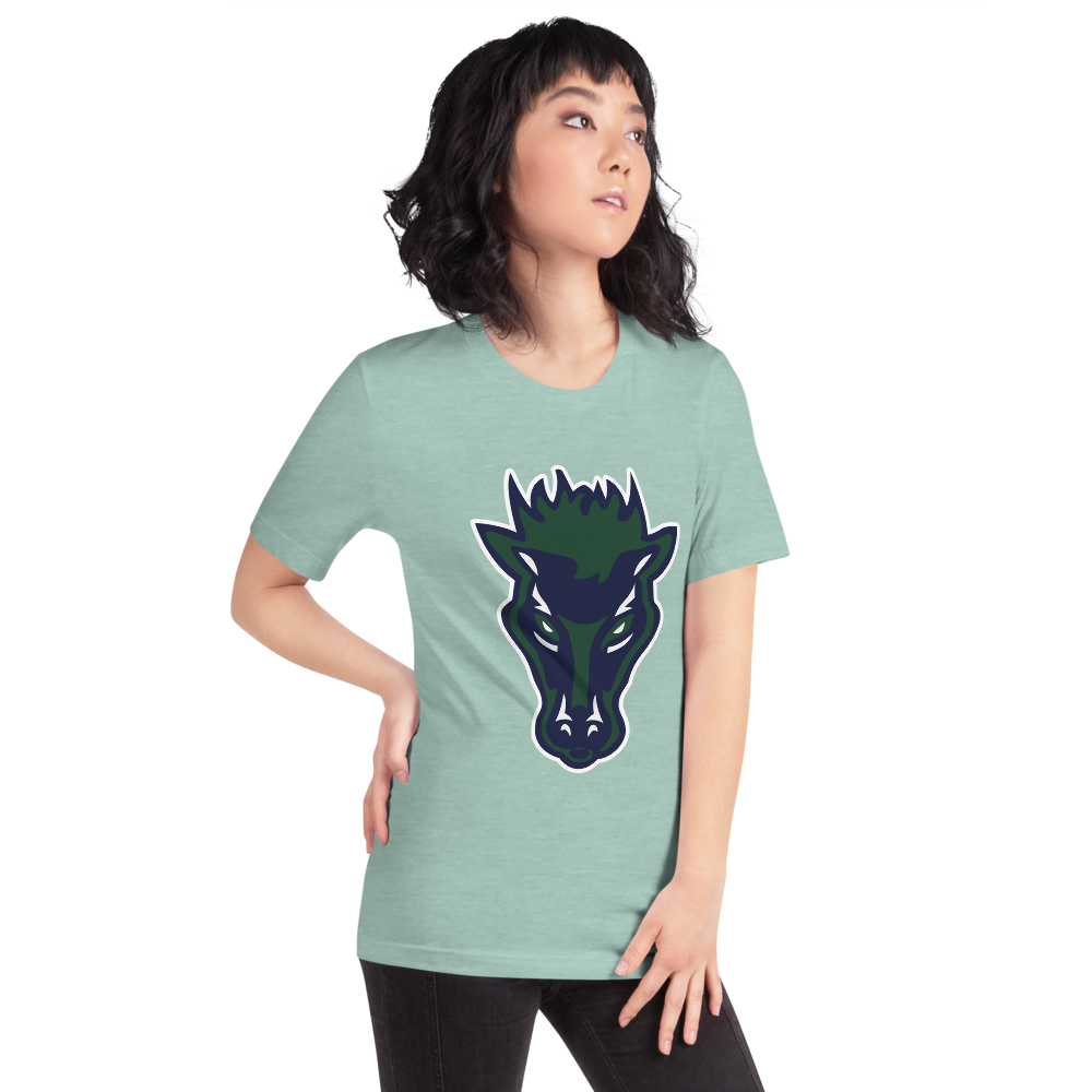 Damonte Ranch High School Design 1 — Heather Prism Dusty Blue