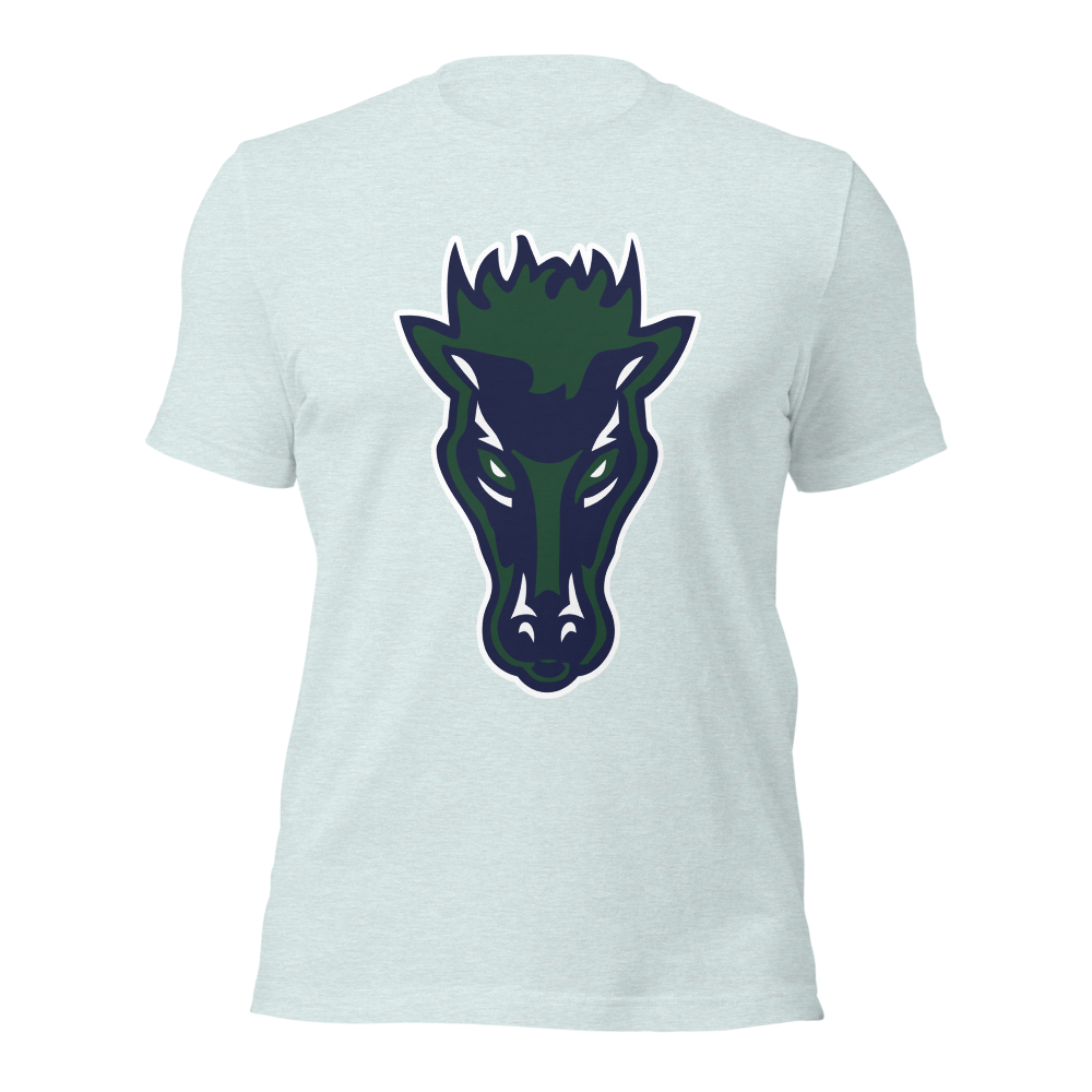 Damonte Ranch High School Design 1 — Heather Prism Ice Blue