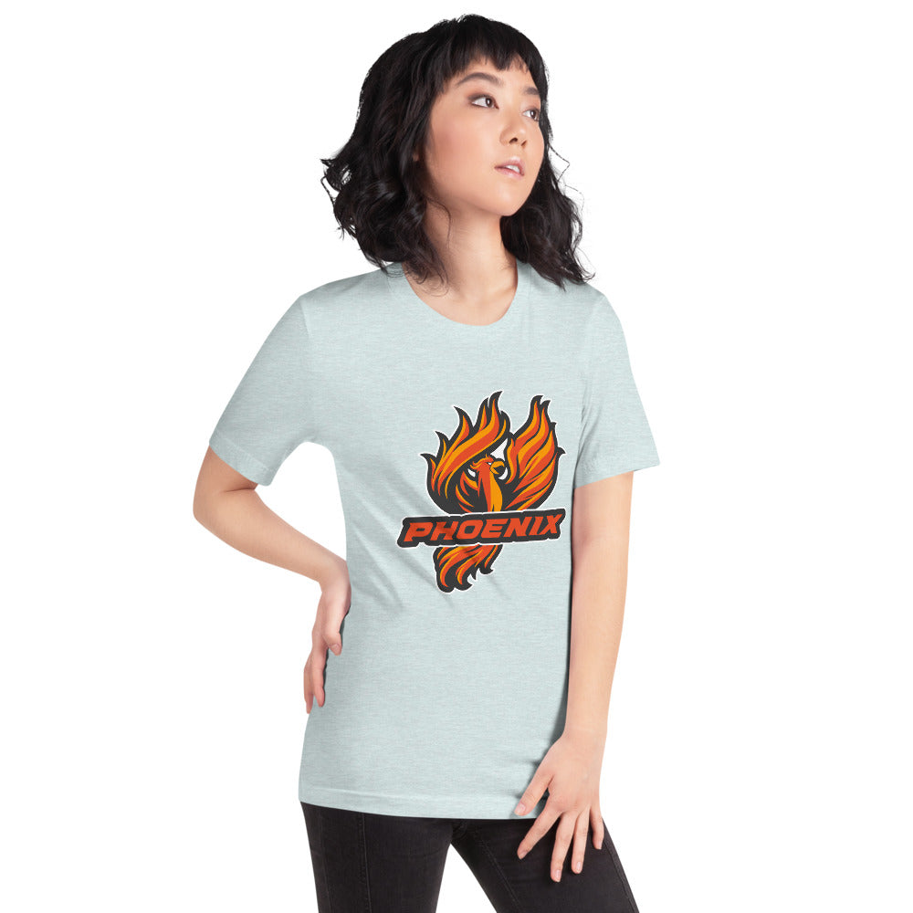 Percy Julian High School Design 1 — Heather Prism Ice Blue