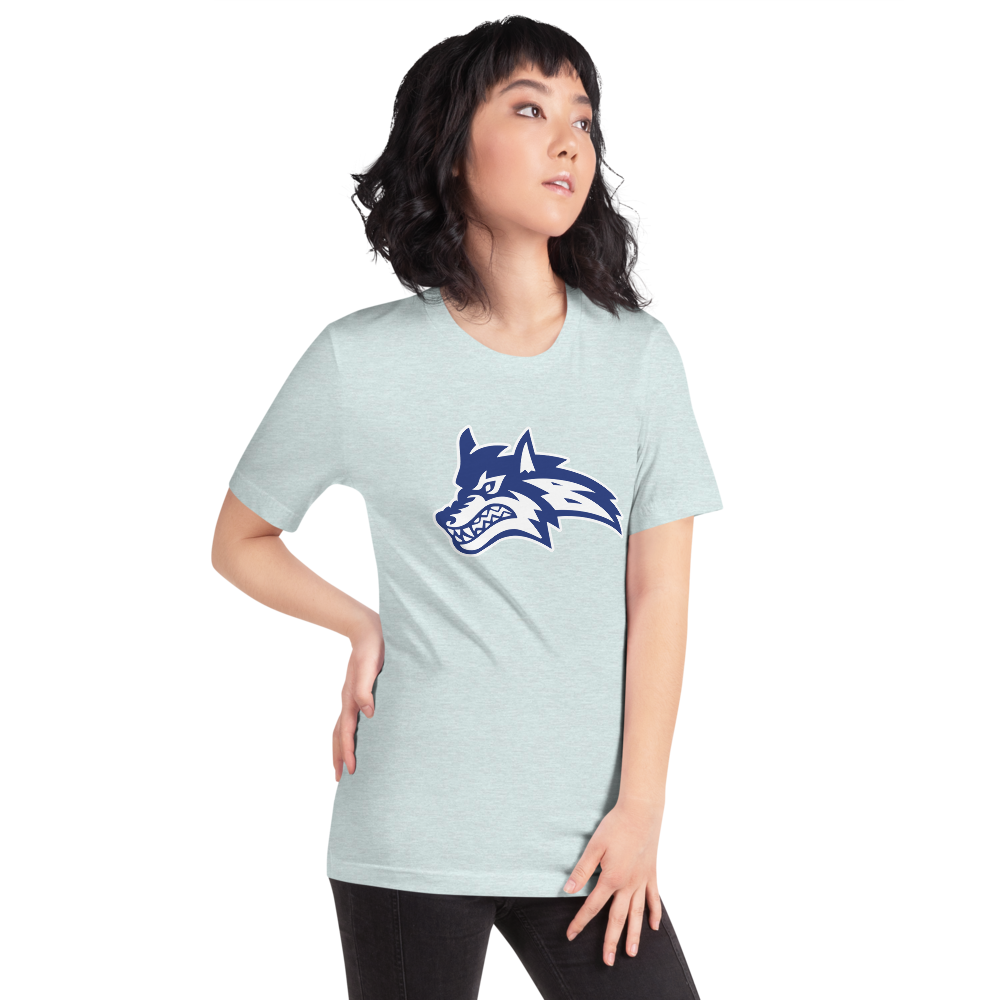 Basic Academy Design 1 — Heather Prism Ice Blue