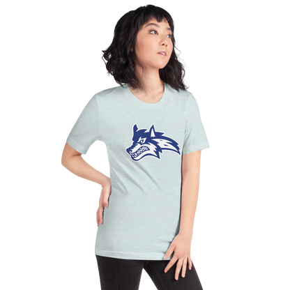Basic Academy Design 1 — Heather Prism Ice Blue