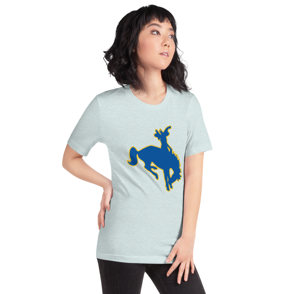 Albert M. Lowry High School Design 1 — Heather Prism Ice Blue
