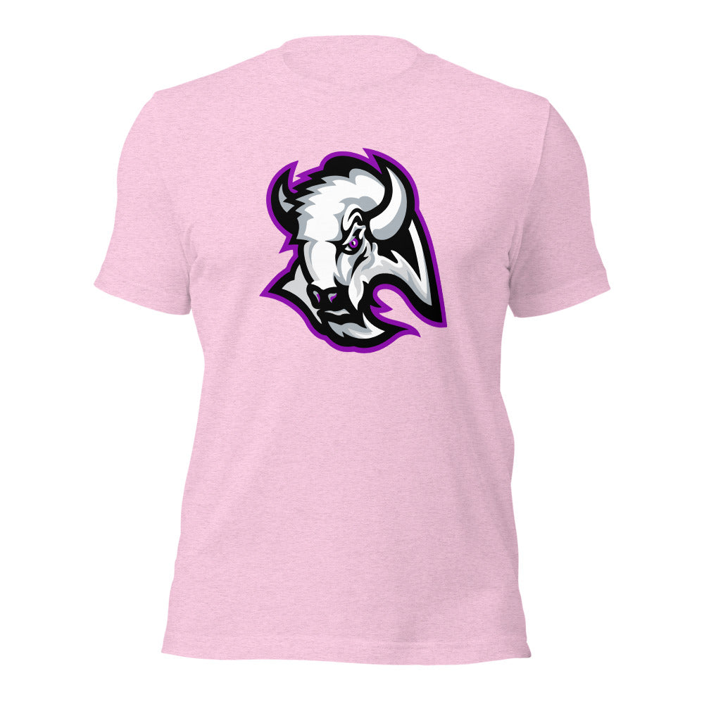 A H Parker High School Design 1 — Heather Prism Lilac