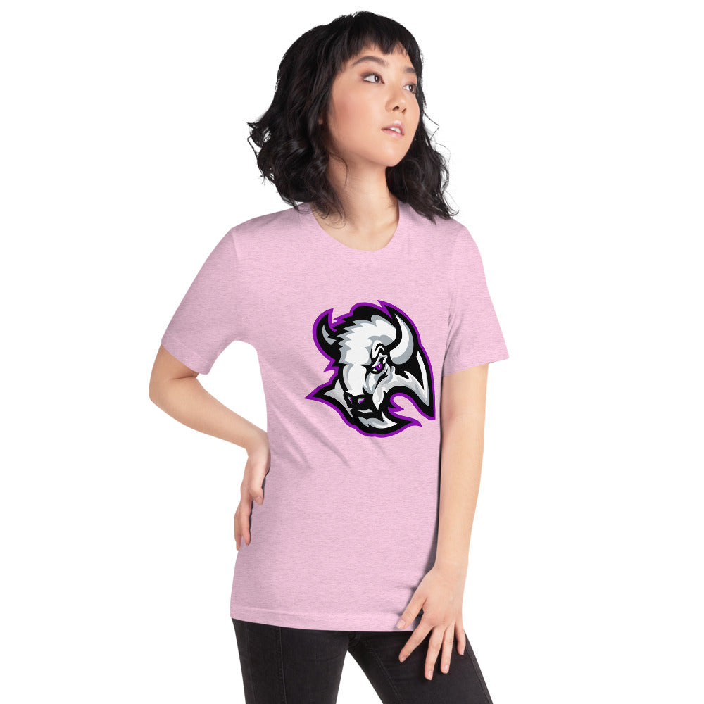 A H Parker High School Design 1 — Heather Prism Lilac