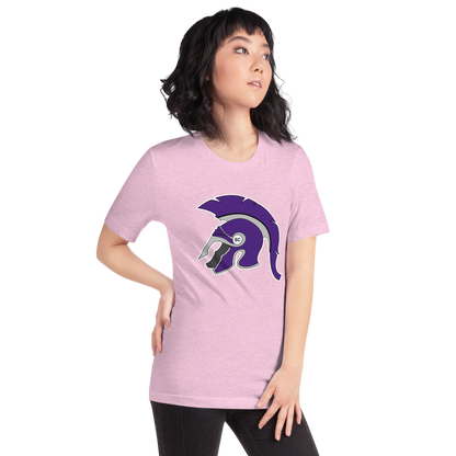 Spring Creek High School Design 1 — Heather Prism Lilac