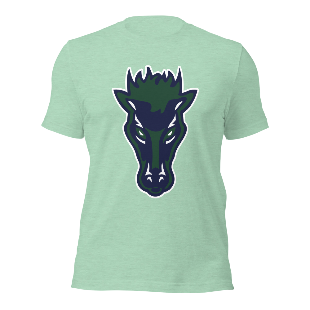 Damonte Ranch High School Design 1 — Heather Prism Mint