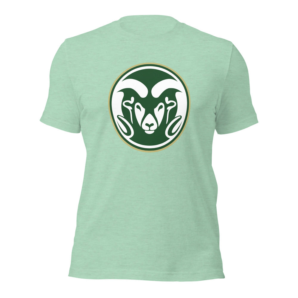 Sylvania High School Design 1 — Heather Prism Mint
