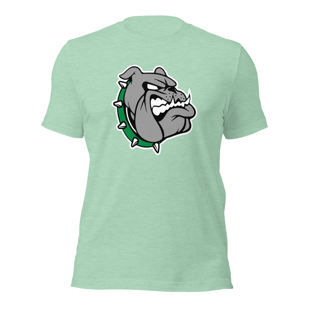 Provo High School Design 1 — Heather Prism Mint