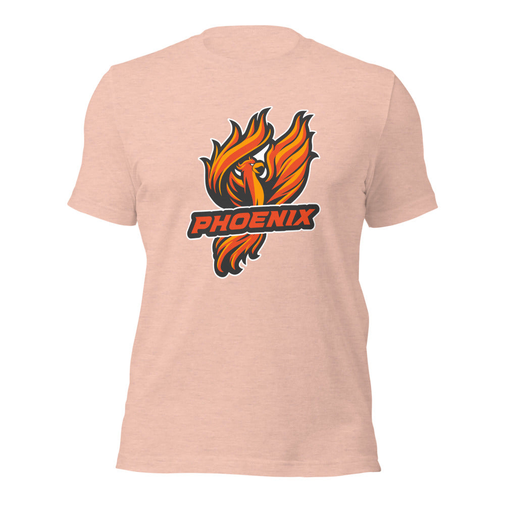 Percy Julian High School Design 1 — Heather Prism Peach