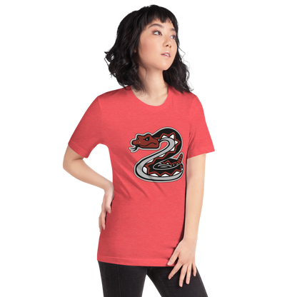 Desert Oasis High School Design 1 — Heather Red