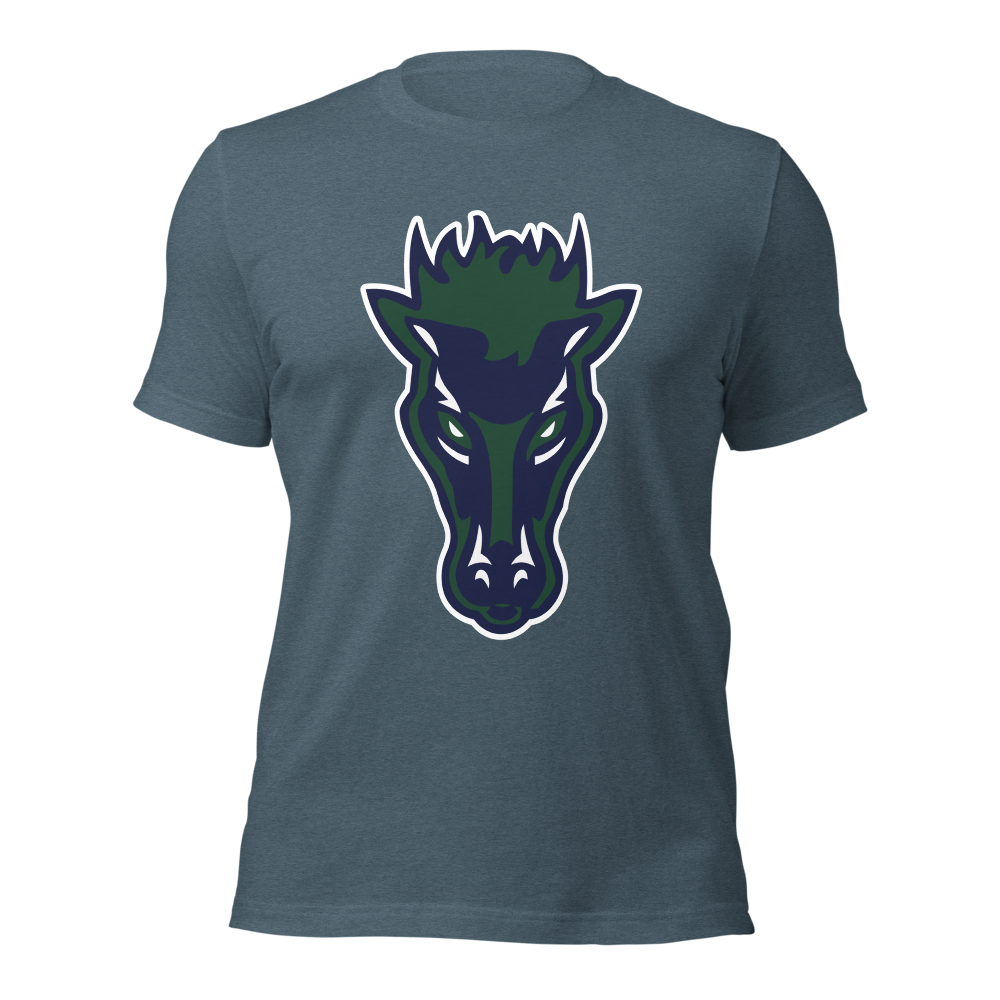 Damonte Ranch High School Design 1 — Heather Slate