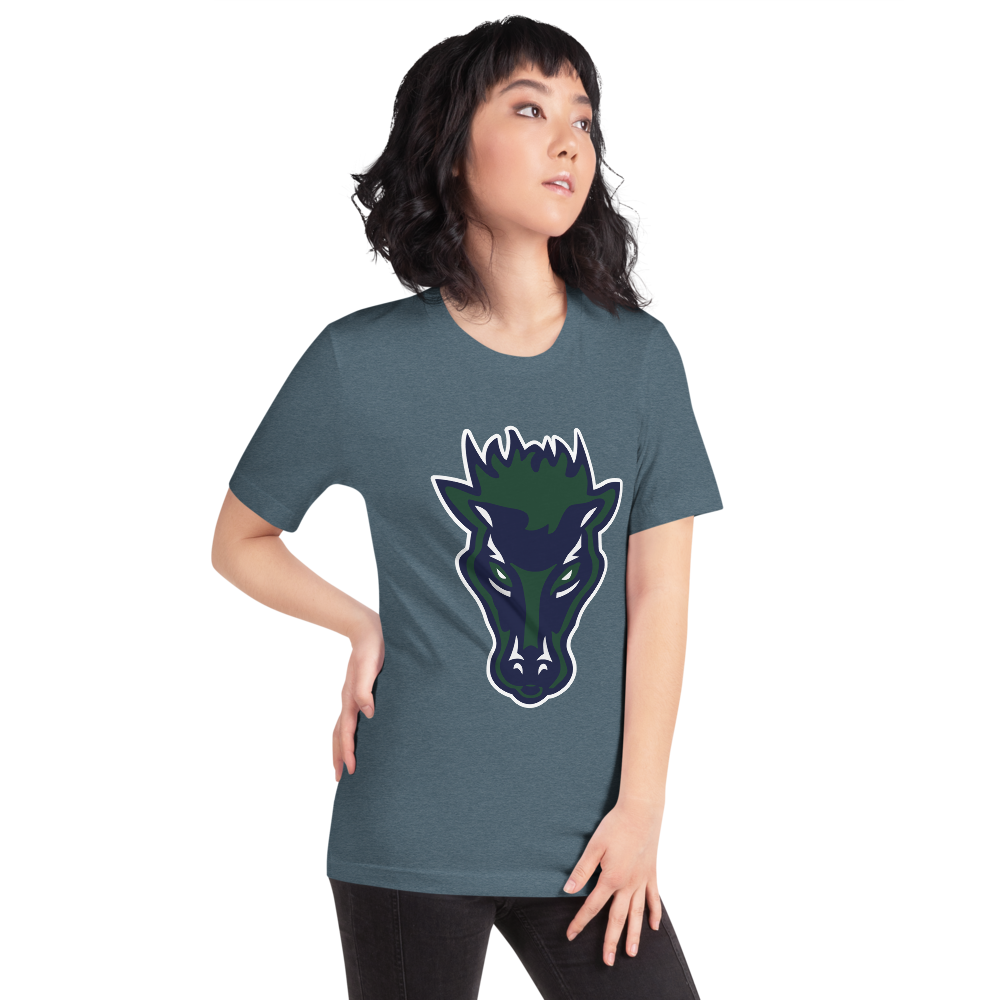 Damonte Ranch High School Design 1 — Heather Slate