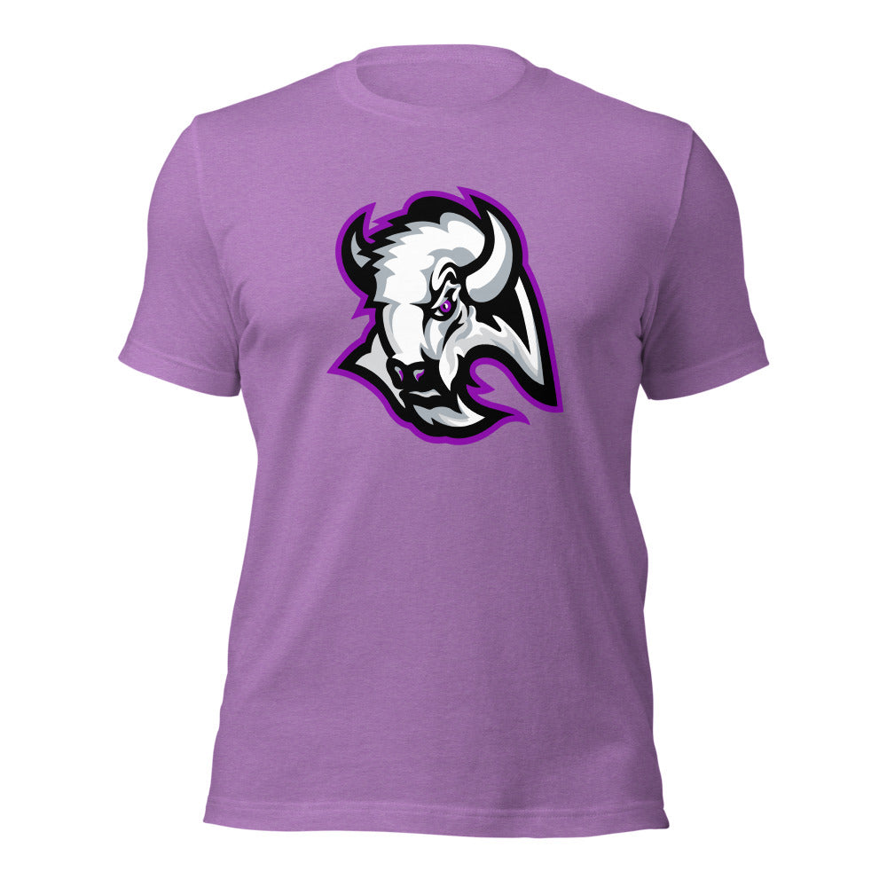 A H Parker High School Design 1 — Heather Team Purple