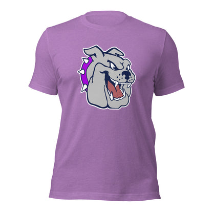 Sheffield High School Design 1 — Heather Team Purple