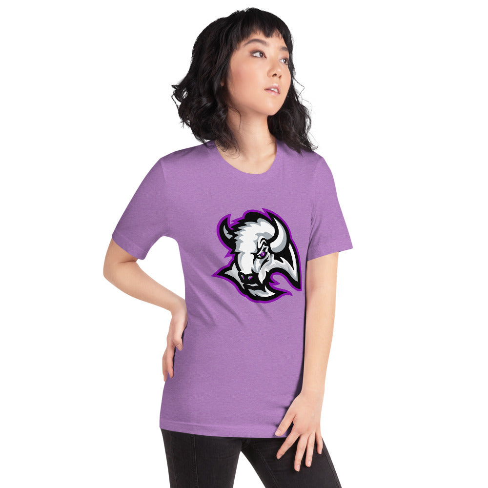 A H Parker High School Design 1 — Heather Team Purple