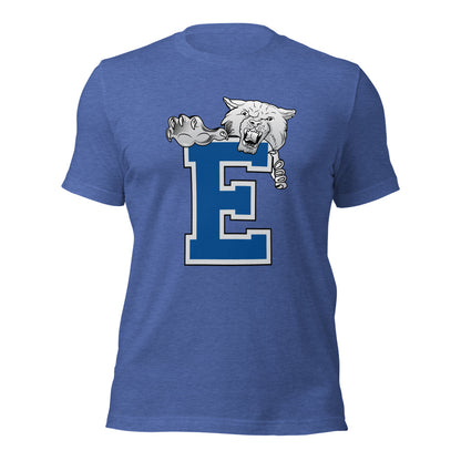Enterprise High School Design 1 — Heather True Royal
