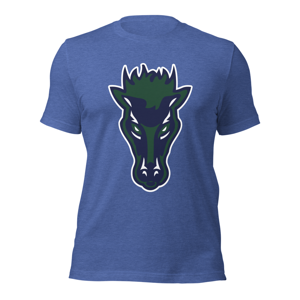 Damonte Ranch High School Design 1 — Heather True Royal