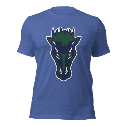 Damonte Ranch High School Design 1 — Heather True Royal