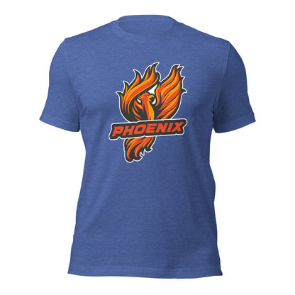 Percy Julian High School Design 1 — Heather True Royal